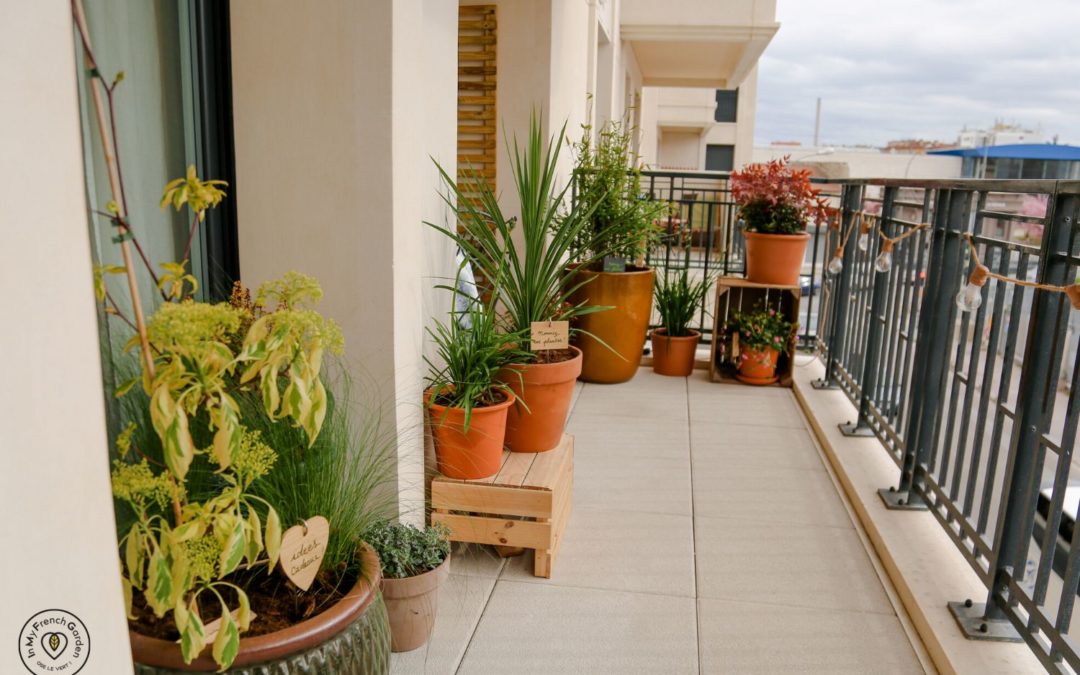 Comment végétaliser un balcon au printemps ?
